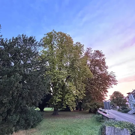 Tillmanns Eltville am Rhein